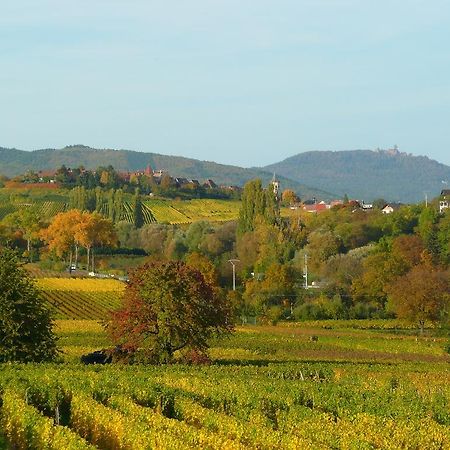 Le Gm Chambres D'Hotes De Charme En Alsace Міттельвір Екстер'єр фото