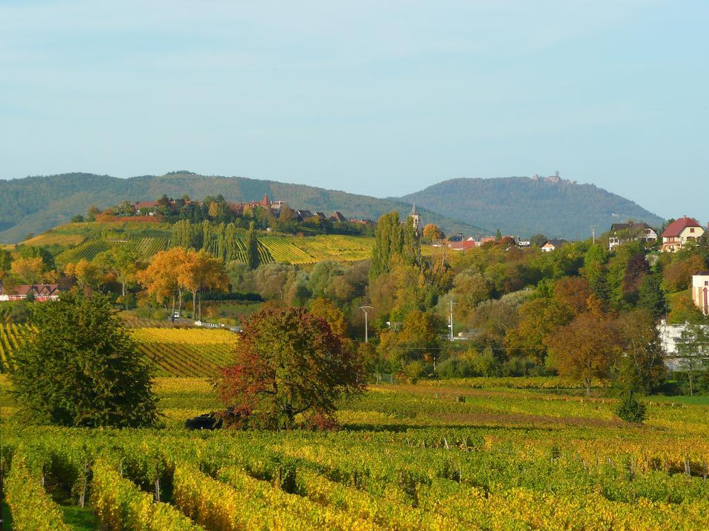 Le Gm Chambres D'Hotes De Charme En Alsace Міттельвір Екстер'єр фото