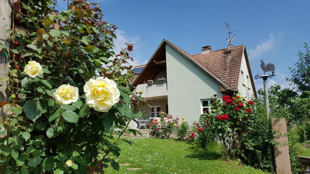 Le Gm Chambres D'Hotes De Charme En Alsace Міттельвір Екстер'єр фото